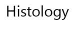 Histology